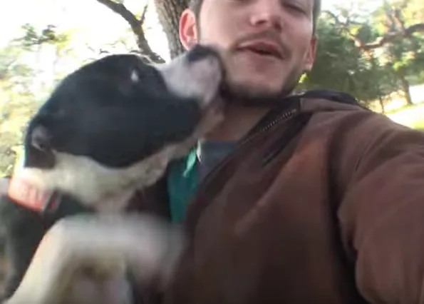 Del miedo y el abandono la a los besos y las carreras felices: salvando perros in extremis