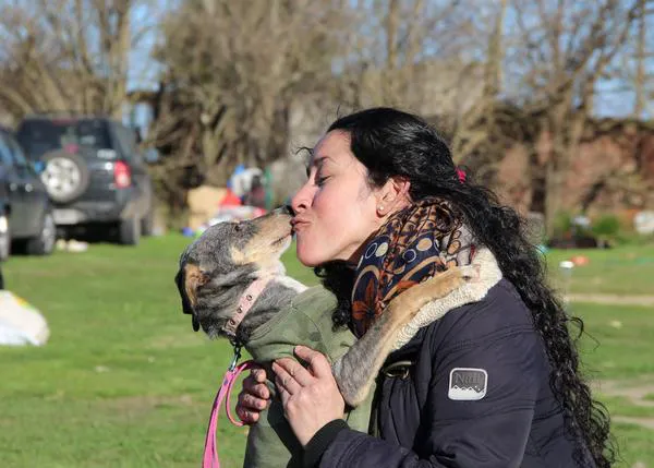 El campito: un refugio único donde cuidan de cientos de perros inválidos, ciegos, viejitos o terminales