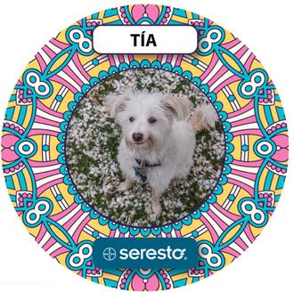 Canes protegidos & canes con estilo con las latas personalizadas de …