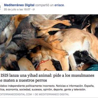 Nuevo bulo sobre los extremistas musulmanes en Lleida: no hay …