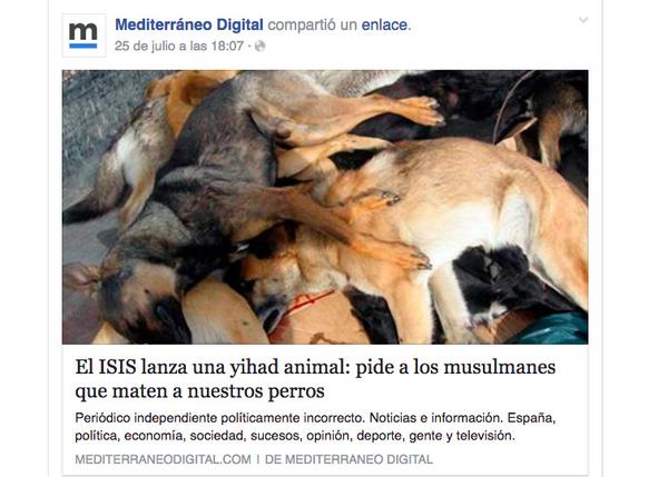 Nuevo bulo sobre los extremistas musulmanes en Lleida: no hay Jihad contra los perros