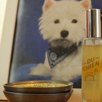 Du Chien, una colonia para los que echan de menos …