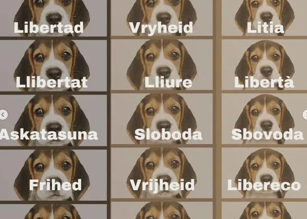 El experimento con los 38 Beagles en Vivotecnia comenzará en breve si nada lo impide: 32 cachorros serán sacrificados