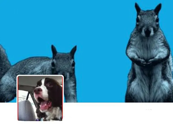 La oda canina a la ardilla... o más bien la sesión de ladridos más frikis y graciosos