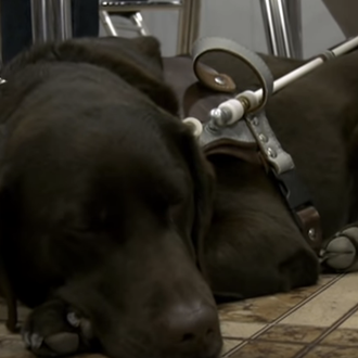 Solidaridad y empatía ante la intransigencia cuando un invidente y …