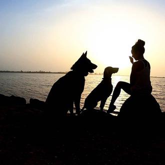 Aventuras perri-humanas en África: una pareja española que viaja con …