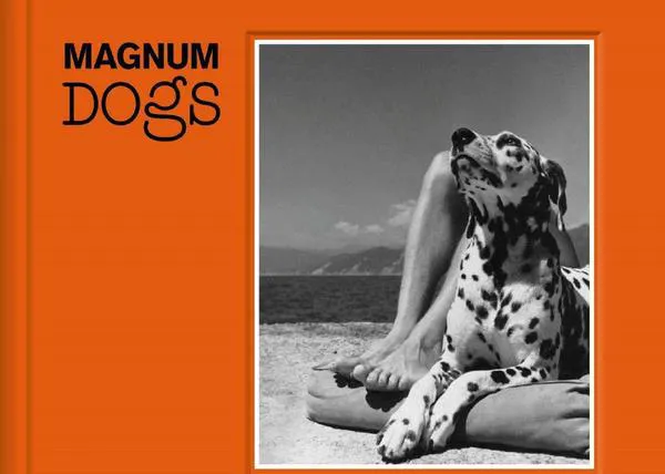 Magnum Dogs: el libro con los mejores retratos caninos de (algunos) de los mejores fotógrafos del mundo