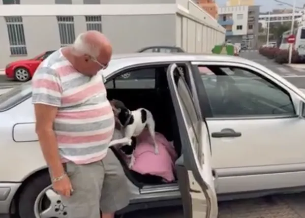 Pequeña buena noticia en La Palma: una mujer ha acogido en su casa al hombre que dormía en el coche con sus tres perros