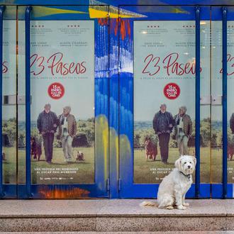 23 Paseos, emotiva película sobre el poder de los perros …