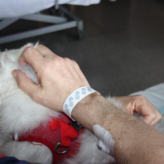 Los pacientes de Paliativos del Hospital Marítimo de Oza, A …