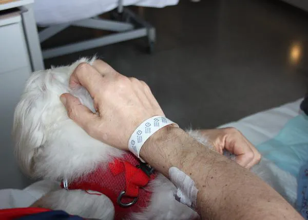 Los pacientes de Paliativos del Hospital Marítimo de Oza, A Coruña, ya pueden reencontrarse con sus perros