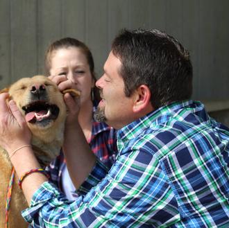 Encuentran a su perro en una protectora ¡dos años después …