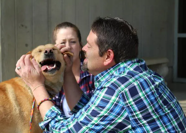 Encuentran a su perro en una protectora ¡dos años después de haberlo perdido!