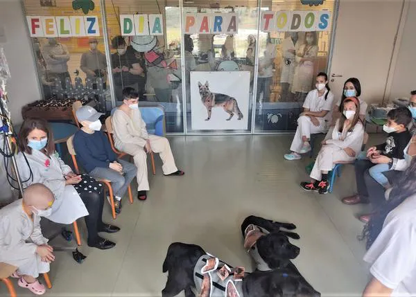 Terapia perruna pionera para los niños en el Hospital Universitario de Burgos: Vitamina de 4 Patas