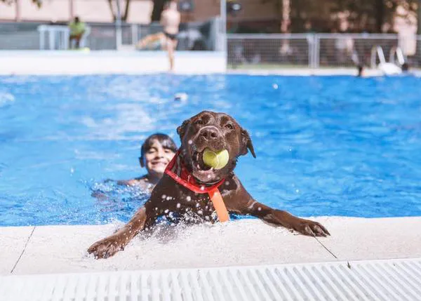 Los planes más refrescantes y solidarios de septiembre: ¡Al Agua Patas! y Chapuzón en Las Vegas