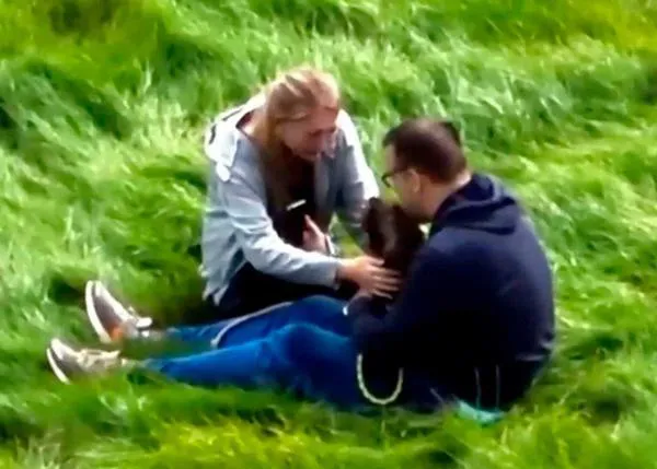 Un dron capta el momento en el que una perra que llevaba una semana perdida se reúne con su familia