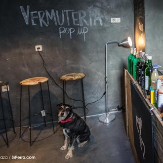Agenda SrPerro diciembre: Tupercans, pop ups y mercadillos, cursos para …