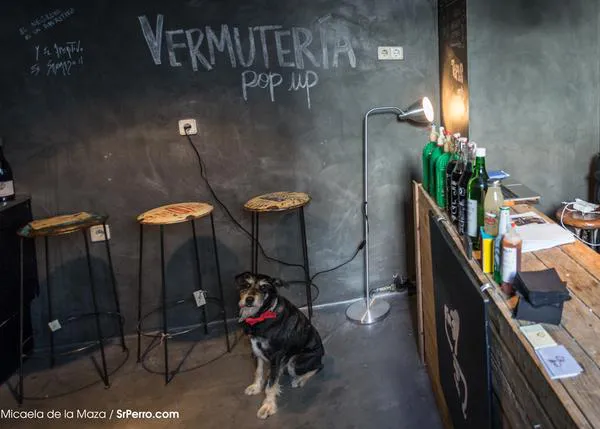 Agenda SrPerro diciembre: Tupercans, pop ups y mercadillos, cursos para canguros caninos...