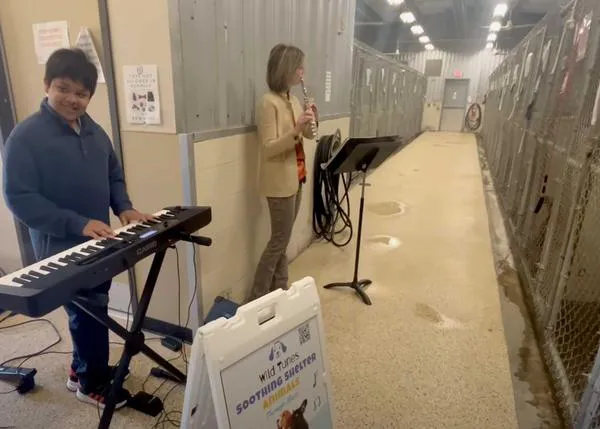 Un chaval de 12 años crea una organización que hace pequeños conciertos en protectoras para calmar a los perros