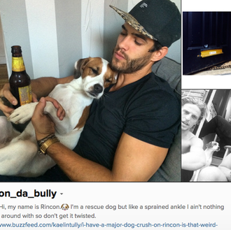 Estrellas de instagram: Rincon, el perro adoptado y sus humanos …