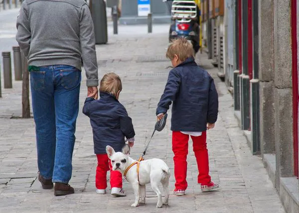 Lo que facilita y lo que complica la vida a los dueños de perro urbanos