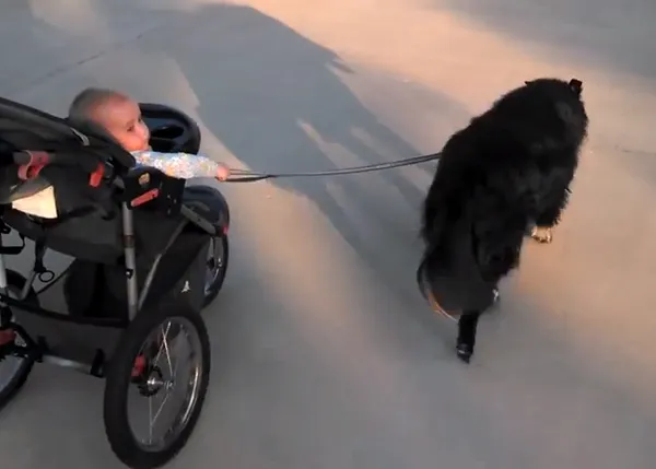 Esas niñeras perruno-humanas... o el comienzo de una gran amistad