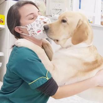 El 100% de los perros puede (y debería) estar feliz …