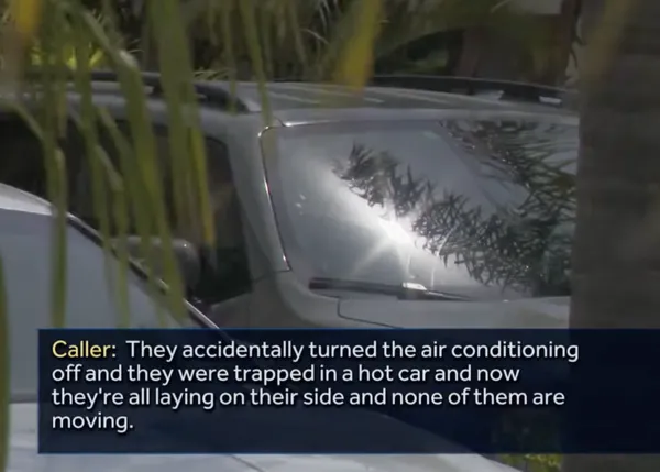Cuatro perros mueren por un golpe de calor tras pasar una hora encerrados dentro de un coche