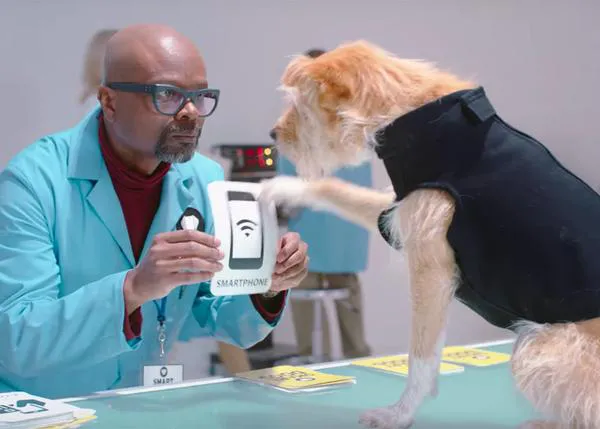 Los perros entrenados para entrenar humanos: una nueva arma contra los WhatsApps y los likes al volante