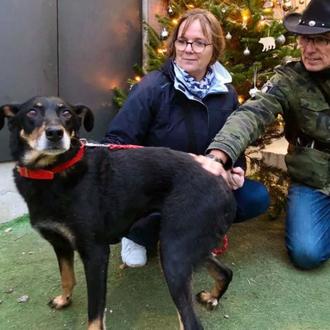 La Fundación 30 Millions d’Amis apoya las adopciones de …