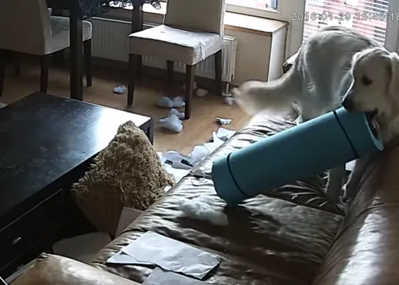 Dogzilla, ese 
