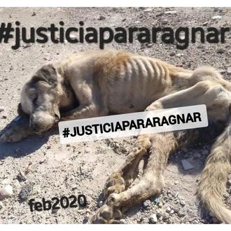 La protectora Huellas Salvadas se moviliza para pedir #justiciapararagnar, el …