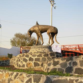 Hasta 10 años de cárcel por maltrato animal, así es …