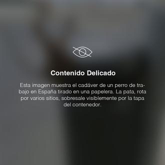 El maltrato animal que nadie quiere ver, el maltrato y …