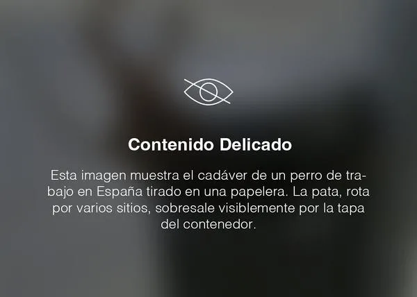 El maltrato animal que nadie quiere ver, el maltrato y abandono que se avecina en España #PawsTheLaw