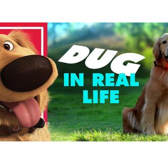 ¿Te imaginas toparte con Dug, el fabuloso perro parlanchín de …