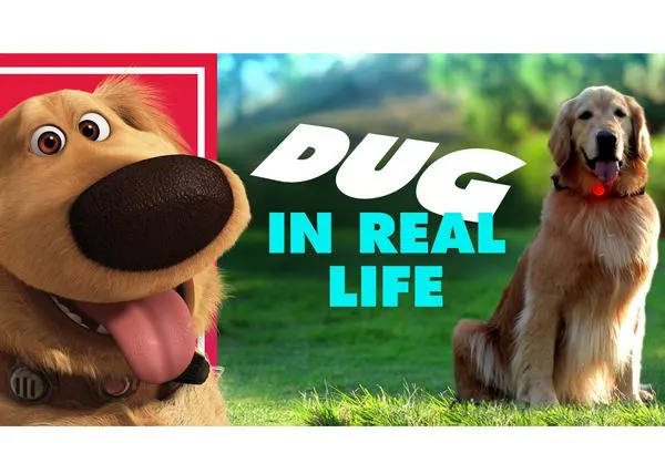 ¿Te imaginas toparte con Dug, el fabuloso perro parlanchín de Pixar?