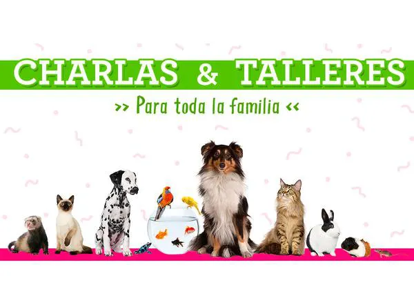 Solidaridad, ocio y diversión perruna en los centros de Tiendanimal el finde del 13-14 de marzo