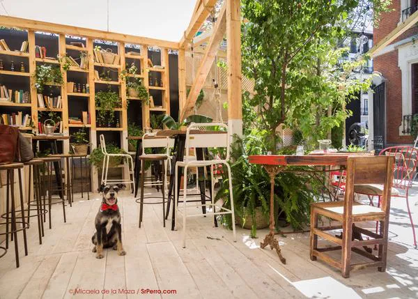 Arte, compras y unas cañas para celebrar el verano en Madrid: Manzana Mahou, con tu SrPerro
