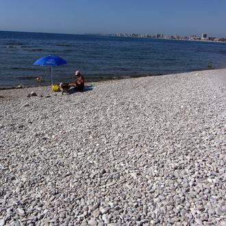 La Playa Perruna de El Campello ¿en peligro por las …
