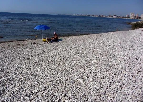 La Playa Perruna de El Campello ¿en peligro por las protestas de los anti-canes?