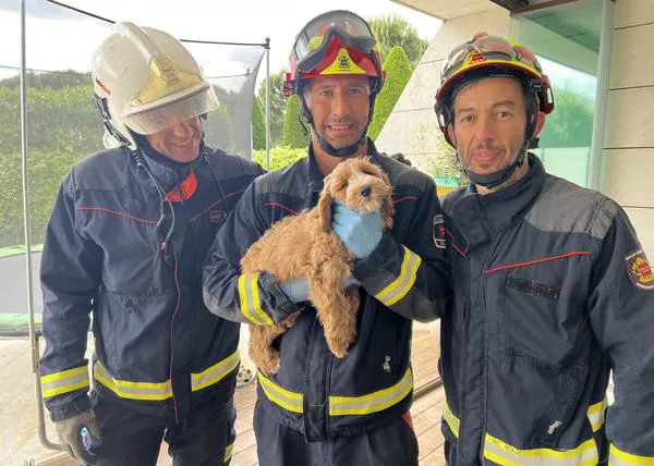Los bomberos de Madrid rescatan a un cachorrote atrapado en el cerramiento de una piscina