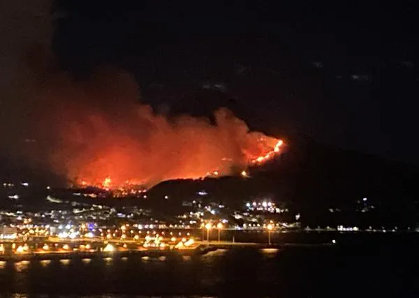 Oleada de solidaridad para desalojar a perros y gatos de la Protectora de Ceuta por un grave incendio