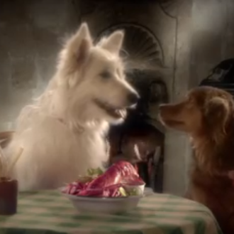 Amores caninos y los problemas de logística: un divertido anuncio …