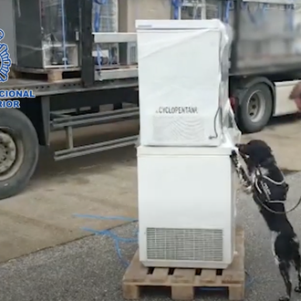 Los perros de la Unidad de Guías Caninos en acción …