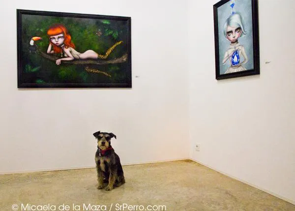 Ocio con perro: una de cafés, otra de arte, un poco de cine y también deporte