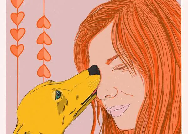 Los salchis y galgos italianos más coloridos, los perros de @linarisyet