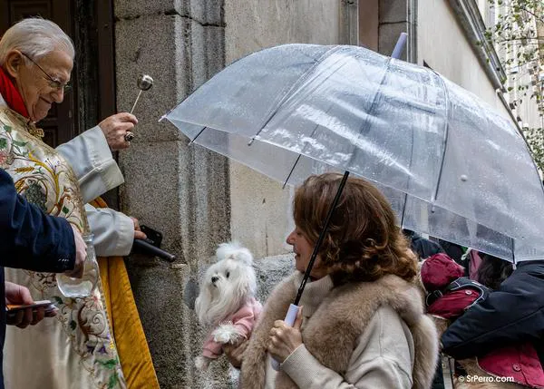 Fotos de San Antón en Madrid: muchos perretes guapos bendecidos y unas vueltas algo pasadas por agua