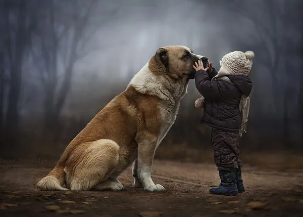 Las mágicas fotos de Elena Shumilova: niños, perros, animales y la naturaleza