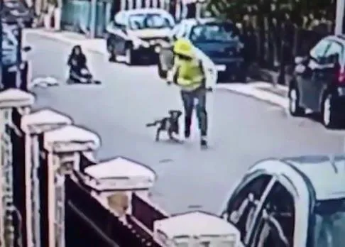 Un perro sale en defensa de una mujer y evita que sea robada